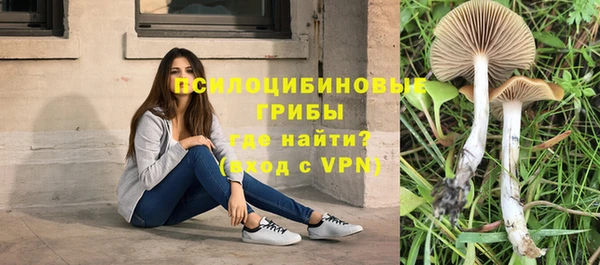 кокаин Белокуриха